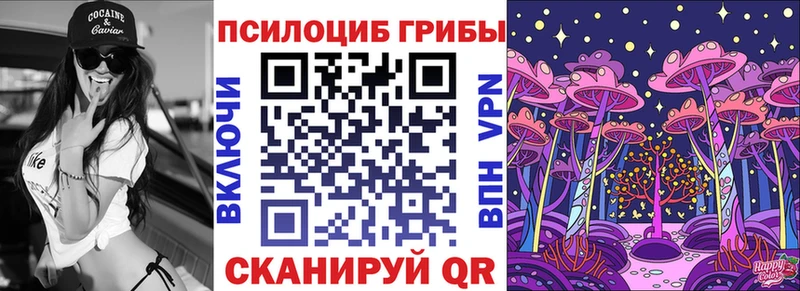 МЕГА ссылка  купить   Шуя  Псилоцибиновые грибы Psilocybine cubensis 